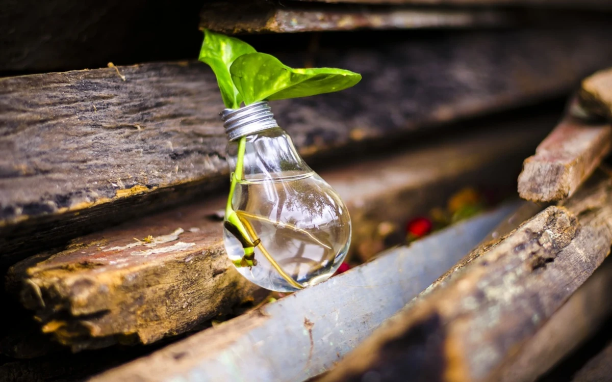 Recyklácia žiaroviek a batérií: Ako sa starať o životné prostredie.