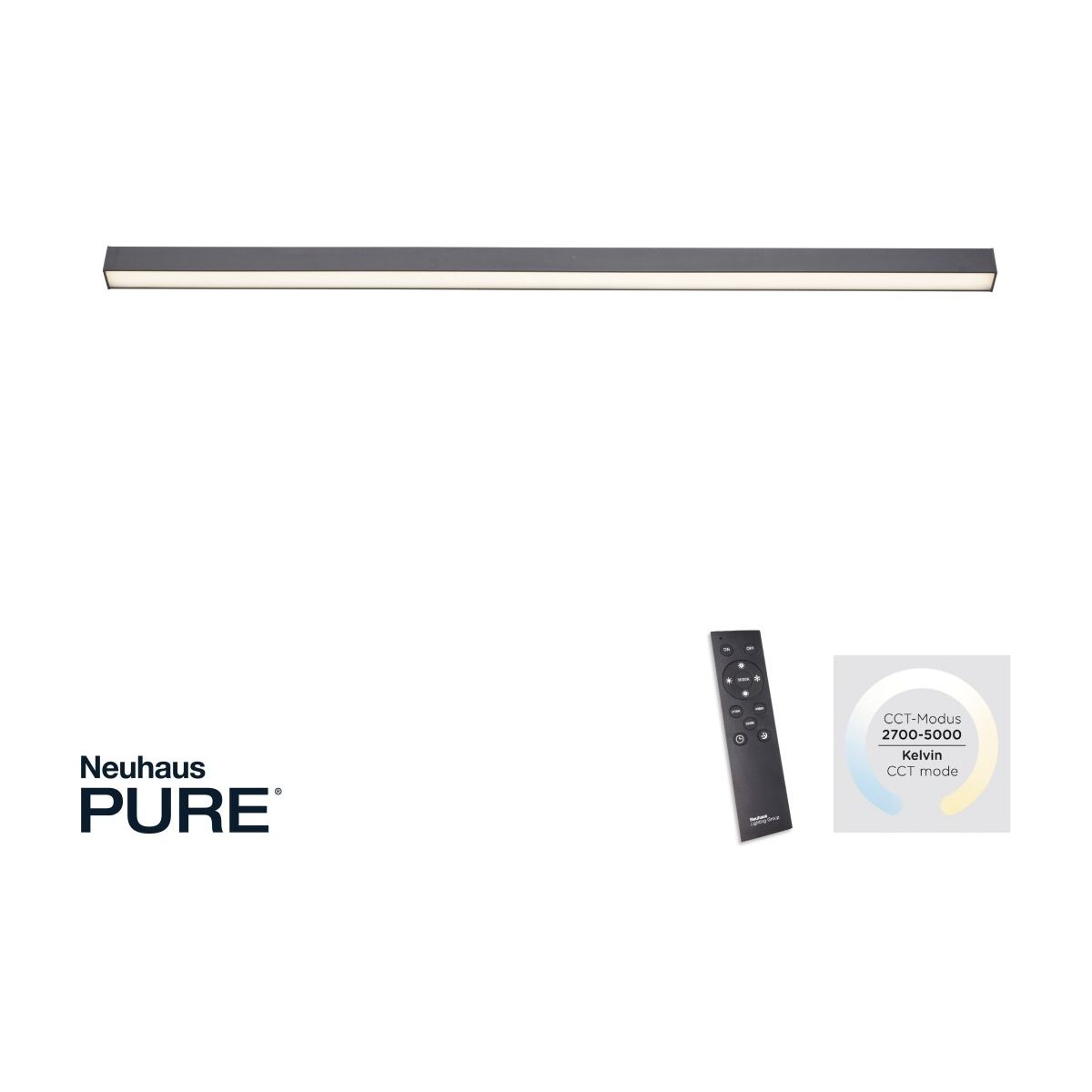Paul Neuhaus-PURE-LINES-6021-13-PLN6021-13