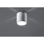 Sollux INEZ SL.0355 Natáčané downlight svetlo 1x40W/G9