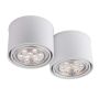 Antigo Miki 7019 Natáčané downlight svetlo 2x15W/Gu10 IP20