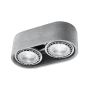 Sollux BASIC 2 SL.0882 Natáčané downlight svetlo 2x40W/GU10 IP20