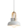 Zambelis PENDANT LAMP 18190 Závesná lampa 1x40w/E27 IP20