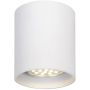 Lucide BODI 09100/01/31 Natáčané downlight svetlo 1x50w/gu10 ip20