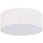 TK Lighting LIVO 10983 Stropné svietidlo 2x15W/E27 IP54