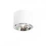 Aldex BOT 1046PL_G Natáčané downlight svetlo 1x35W/GU10/ES111