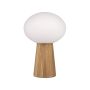 Markslojd PATER 108409 Stolná lampa 1x60W/E27 IP20