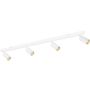 TK Lighting AMIS 10797 Bodové svetlo 4x10W/GU10 IP20