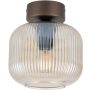TK Lighting SALVIA 11358 Stropná lampa