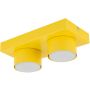 TK Lighting BRIX 11289 Stropná lampa 2x11W/gx53 IP20