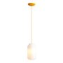 Aldex FLASK MIMOSA M 8500G21_M Závesná lampa 1x15W/E27