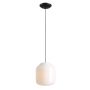 Aldex FLASK ORCHID L 8500G1_L Závesná lampa 1x15W/E27