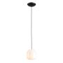 Aldex FLASK ORCHID S 8500G1_S Závesná lampa 1x10W/E14