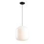 Aldex FLASK ORCHID XL 8500G1_XL Závesná lampa 3x15W/E27