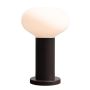 Aldex FLO MOKKA S 7000B28_S Stolná lampa 1x10W/E14