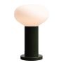 Aldex FLO MOSS S 7000B26_S Stolná lampa 1x10W/E14