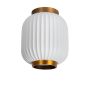Lucide GOSSE 13135/01/31 Stropná lampa 1x40w/e27 ip20