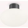 Ideal Lux CLIO 148861 Stropná lampa 1x42W/E27 ip44