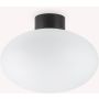 Ideal Lux CLIO 148878 Stropná lampa 1x42W/E27 ip44
