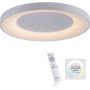 Paul Neuhaus ANIKA 14327-16 Stropné svietidlo 1x60W/LED 2700-5000k 6600lm ip20