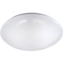 Paul Neuhaus SKYLER 14231-16 Stropné svietidlo 1x12W/LED 3000k 1380lm ip20