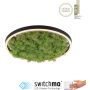 Paul Neuhaus GREEN RITUS 15391-66 Stropná lampa 1x20W/LED 3000k 630lm ip20
