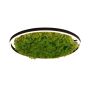 Paul Neuhaus GREEN RITUS 15392-66 Stropná lampa 1x28W/LED 3000k 960lm ip20