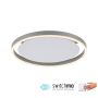Paul Neuhaus RITUS 15391-95 Stropné svietidlo 1x20W/LED 3000K 900LM IP20