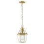 Cosmolight WHITLEY P01064AU Závesná lampa 1x60W/E27 ip23