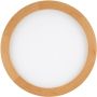 TK Lighting AQUA WOOD 18004 Stropné svietidlo 1x4W/LED 3000K, 4000K, 6500K 2565lm IP54