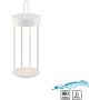 Paul Neuhaus ANSELM 19300-16 Stolná lampa 1x1,5W/LED 2700k 130lm ip44