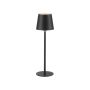 Paul Neuhaus BOTERIA 19251-18 Stolná lampa 1x2,5W/LED 3000K 180lm IP20