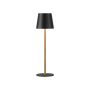 Paul Neuhaus EURIA 19250-68 Stolná lampa 1x2,5W/LED 3000K 180lm IP20