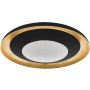 Eglo CANICOSA 2 98527 Stropné svietidlo 1x24,5W/LED 2700K-6500K 3000LM