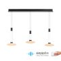 Paul Neuhaus LAUTADA 2081-18 Závesná lampa 3x7,5W/LED 3000K 1800LM IP20