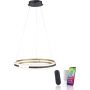 Paul Neuhaus Q-BELUGA 2051-60 Závesná lampa 1x62W/LED 2700-5000k 6900lm ip20