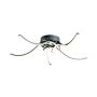 Zuma Line FOCUS 20023-5CCH Stropná lampa 1x35W/LED 3000K|4000K|6000K 2300lm IP20