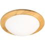 Fischer&Honsel SHINE-WOOD 21489 Stropná lampa 2x40w/e27 ip20