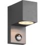 Trio ROYA 214269142 Stena svietidlo 1x35w/gu10 ip44