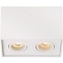 Lucide TUBE 22953/02/31 Natáčané downlight svetlo 2x50w/gu10 ip20