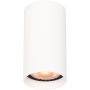 Italux Lopus CLN-48930-S-WH Natáčané downlight svetlo 1x10W/GU10 IP20