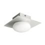 Prezent CUSCO 25098 Stropné svietidlo 1x33W/G9 IP44