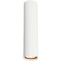Italux Rilok CLN-83920-L-WH Natáčané downlight svetlo 1x10W/GU10 IP20