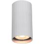 Italux Rilok CLN-83920-S-ALU Natáčané downlight svetlo 1x10W/GU10 IP20