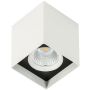 Italux Alden White Black 4000K SLC78002/12W 4000K WH+BL Natáčané downlight svetlo 1x12W/LED 4000K 1010lm IP20