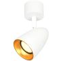 Italux Tino SPL-36748-1R-WH-GD Bodové svetlo 1x10W/GU10 IP20