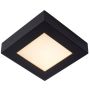 Lucide BRICE-LED 28117/17/30 Stropná lampa 1x15w/led 3000k 800lm ip44