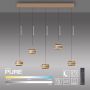 Paul Neuhaus PURE FALLING RINGS 2504-97 Závesná lampa 5x8W/LED 2200-5000k 1500lm ip20