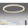 Paul Neuhaus PURE LINES ROUND 6306-16 Stropná lampa 1x42W/LED 2200-5000k 4300lm ip20
