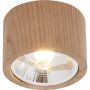 Zuma Line OAK 3010103 Natáčané downlight svetlo 1x15W/GU10 Es111 IP20