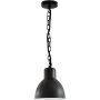 Polux ARNE 311924 Závesná lampa 1x10W/E27 IP44